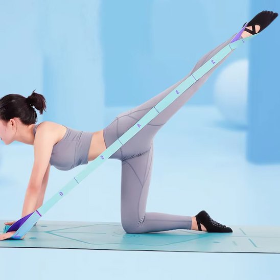 Élastique musculation haute résistance Goproenergy exercise